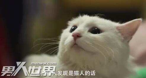 喵星人免费观看大电影,一场视觉与听觉的狂欢之旅