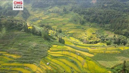 红河县视频,探寻多元文化交融的美丽画卷