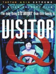 拜访者q在线播放,一场视听盛宴的深度解析