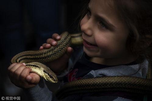 蛇片在线播放,在线观看，惊悚悬疑，揭秘神秘蛇毒世界
