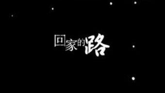 感动歌曲视频,探寻那些触动心灵的旋律故事