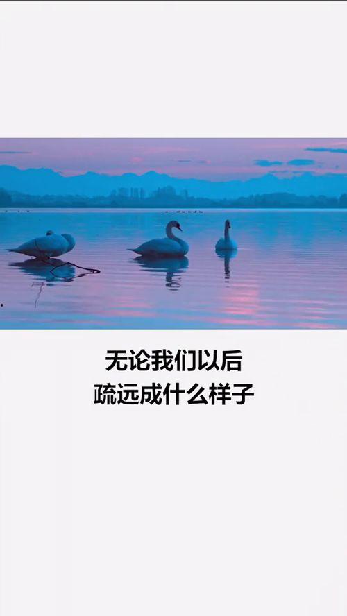 你谈成熟时 免费观看,免费观看的智慧之旅