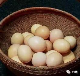 蛋网怎么编视频,轻松掌握视频生成技巧