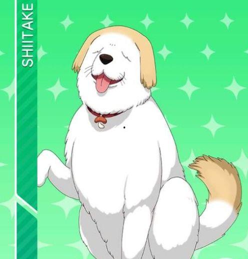 日本动漫 狗狗,狗狗的动漫世界之旅