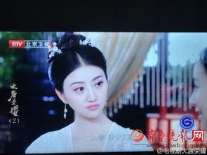 大唐荣耀在视频播,宫廷权谋与家国情怀的史诗画卷